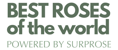 Logo - Bestrosesoftheworld.com